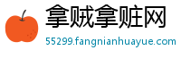 拿贼拿赃网